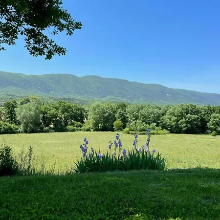 Provence With Pool * Céreste