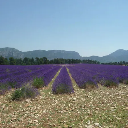 펜션 Provence With Pool Céreste