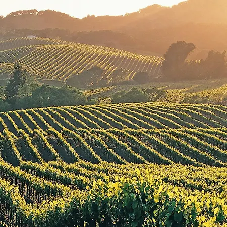 Provence With Pool Casa vacanze Céreste