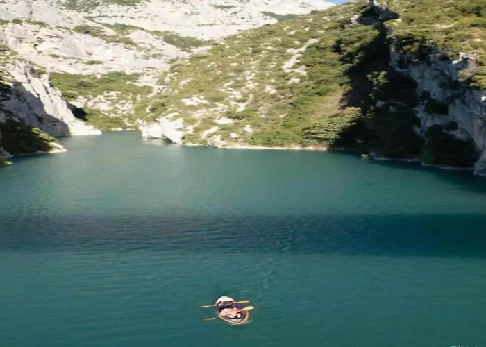 Holiday Home Provence With Pool Cereste