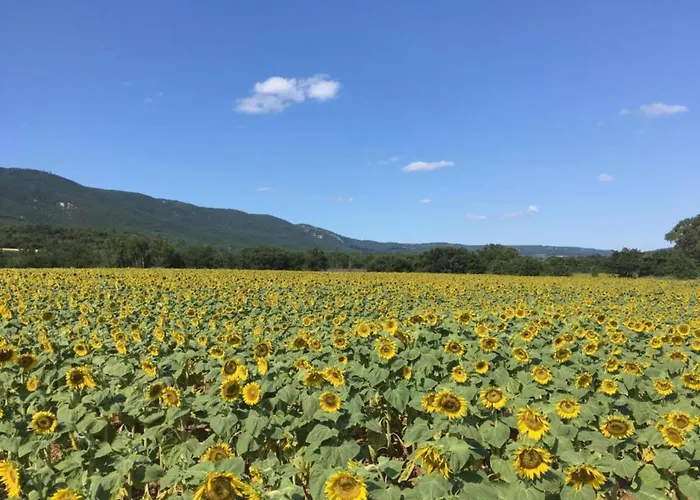 Holiday Home Provence With Pool Holiday home *