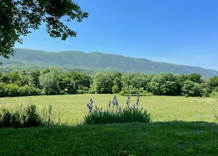 Holiday Home Provence With Pool * Cereste