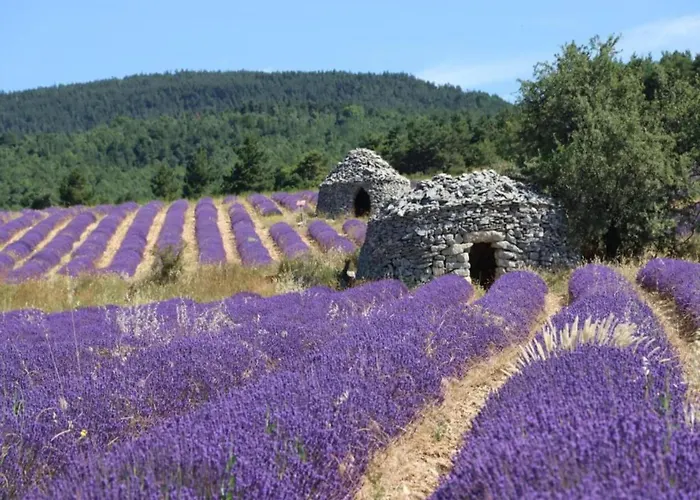 Holiday home Holiday Home Provence With Pool *