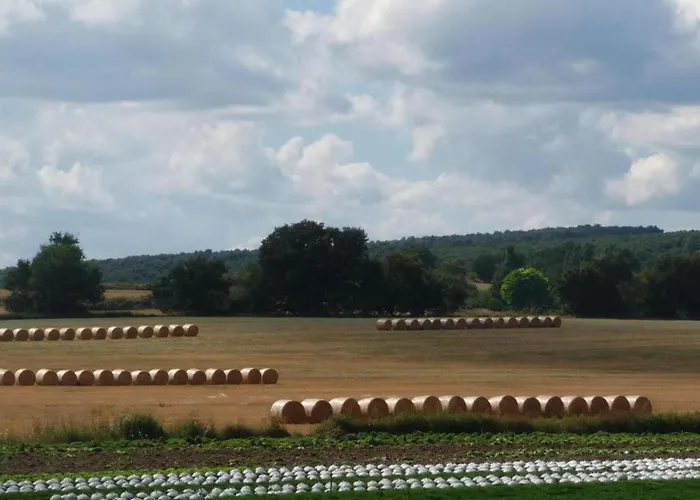 Holiday Home Provence With Pool Holiday home *