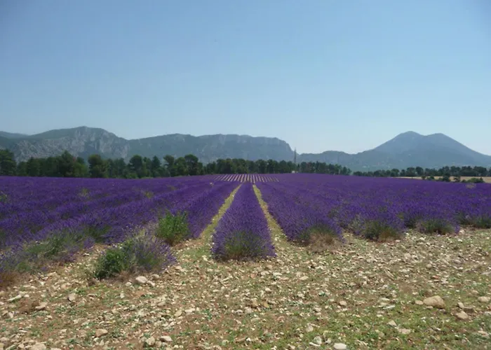 Holiday home Holiday Home Provence With Pool Cereste