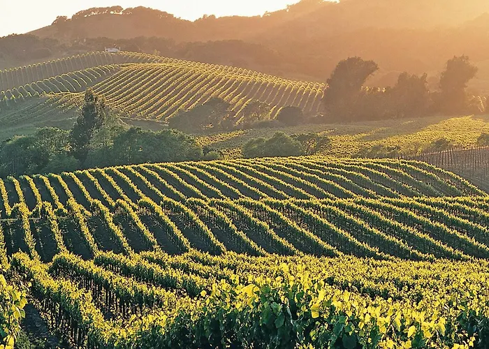 Holiday Home Provence With Pool Holiday home Cereste